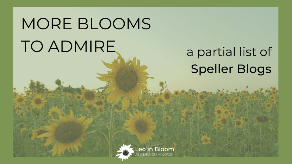 More blooms to&nbsp;admire