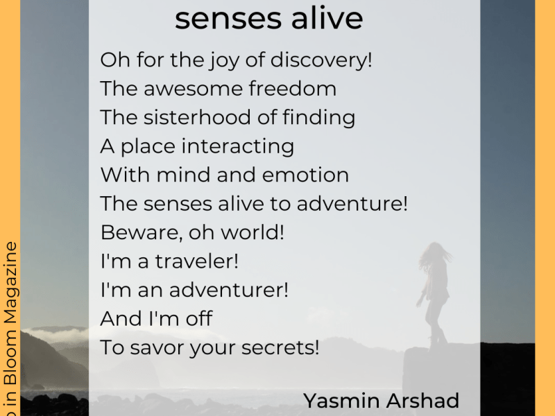 Senses Alive, by yasmin&nbsp;arshad