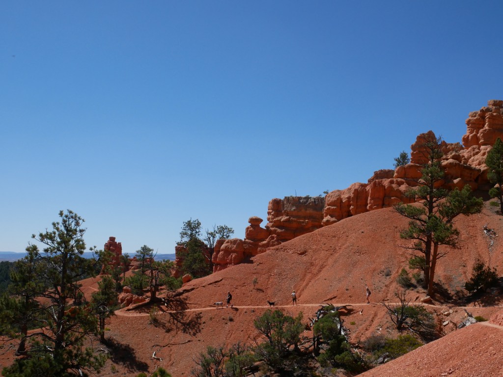 My Autistic Journey, by Matthew&nbsp;Leonard