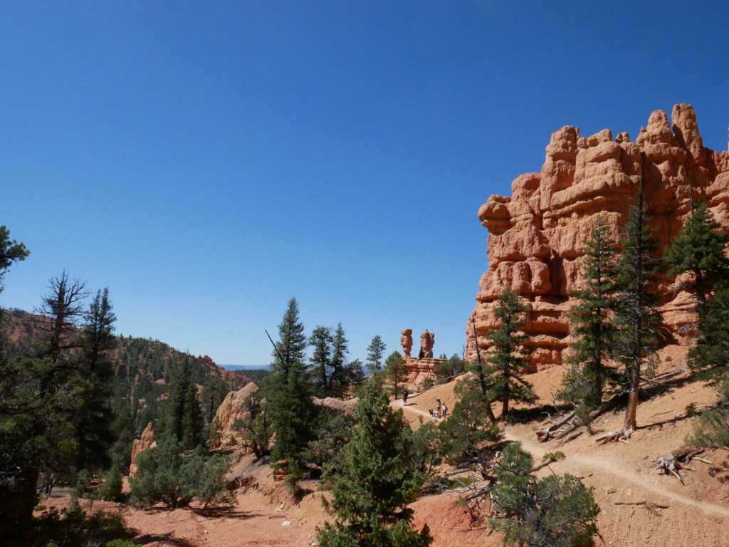 Wanderful, by Danny&nbsp;Whitty