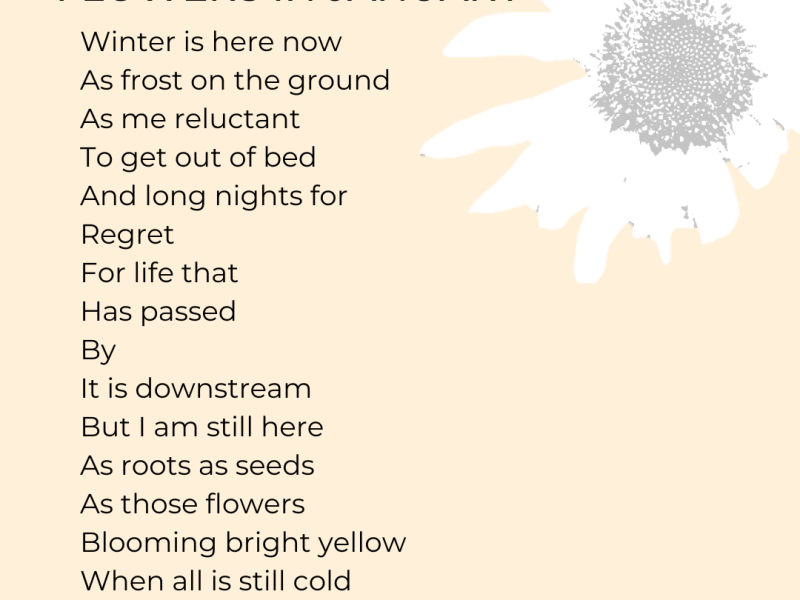 Flowers In January – Philip&nbsp;Lopez