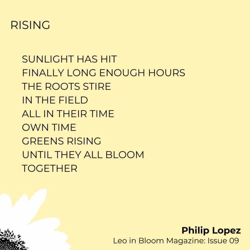 A Trio of Poems – Philip Lopez, Austin BAker, Elliot&nbsp;Teasdale